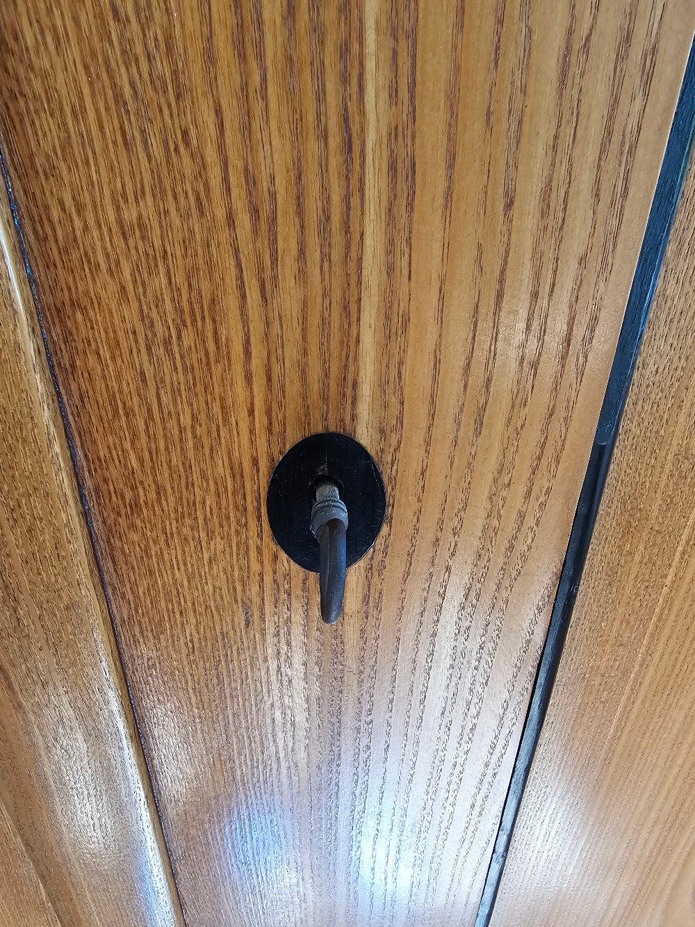 Esche Schrank Biedermeier antik